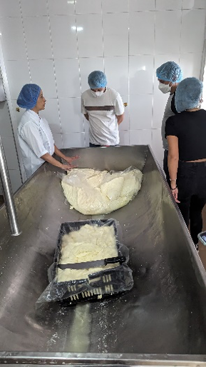 queso paipa8