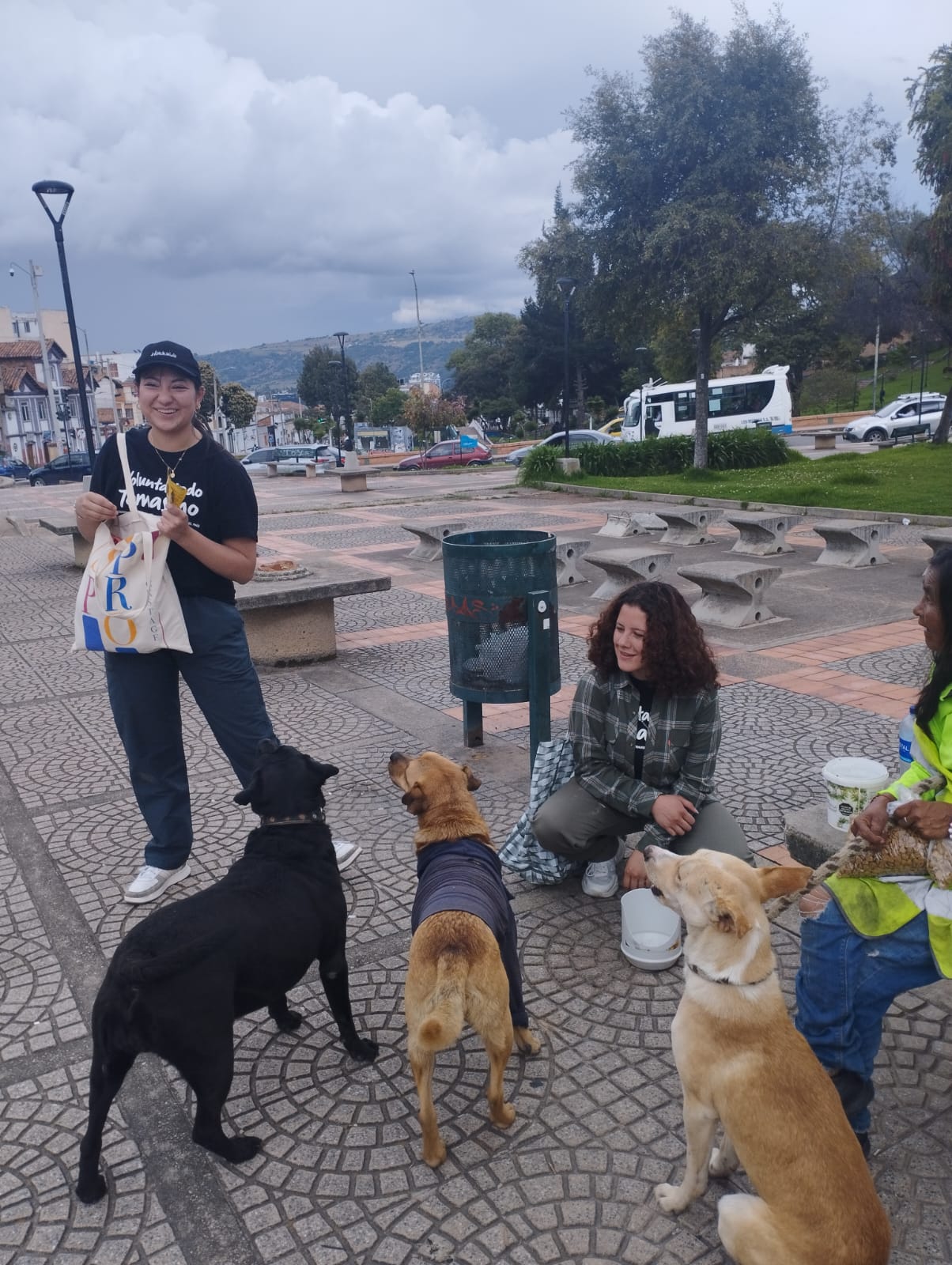 Campa§a alimentos caninos 20-11-2024 (6) 1