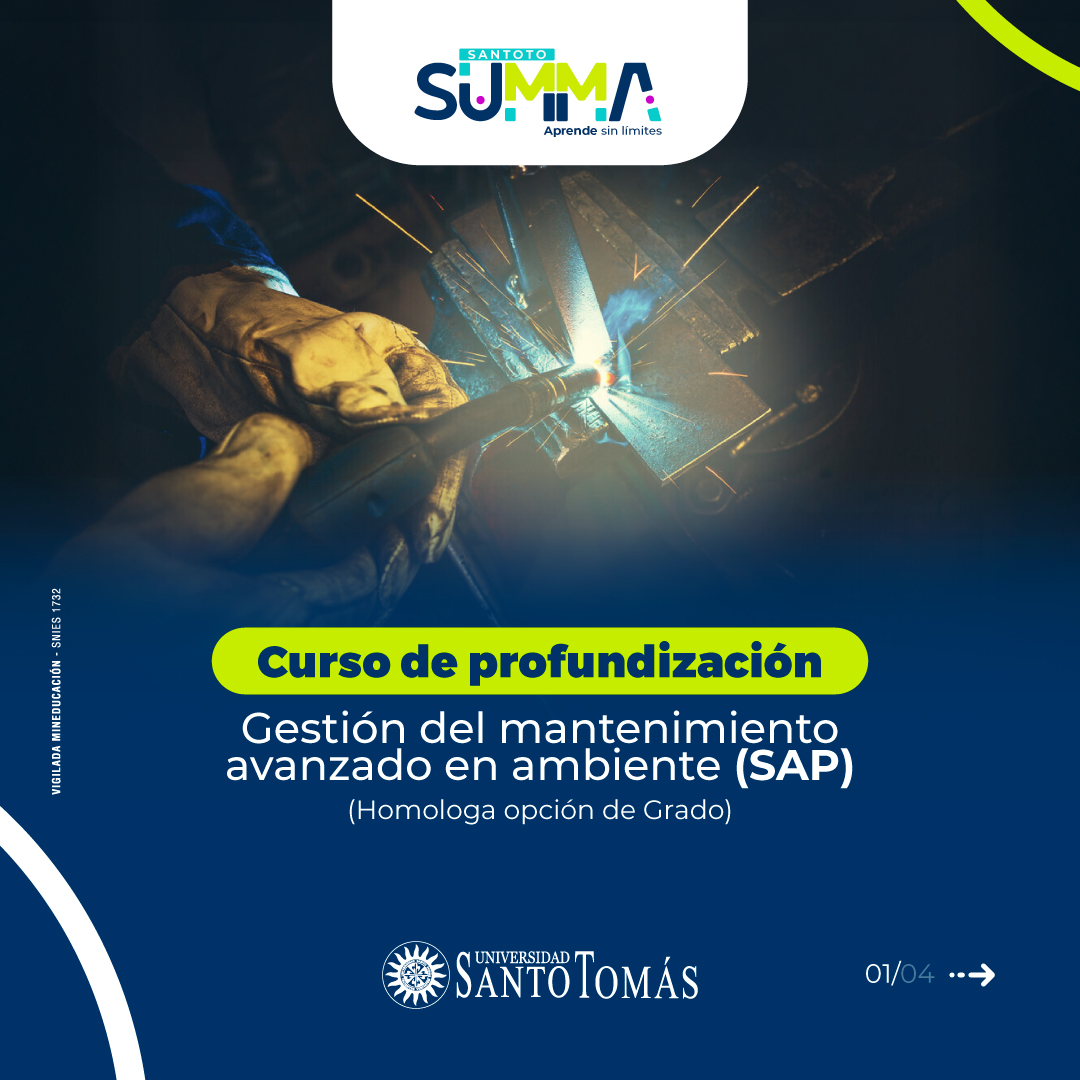pauta-1-Curso-Profundizacion-en-Gestion-del-Mantenimiento-Avanzado-en-Ambiente-SAP (1)