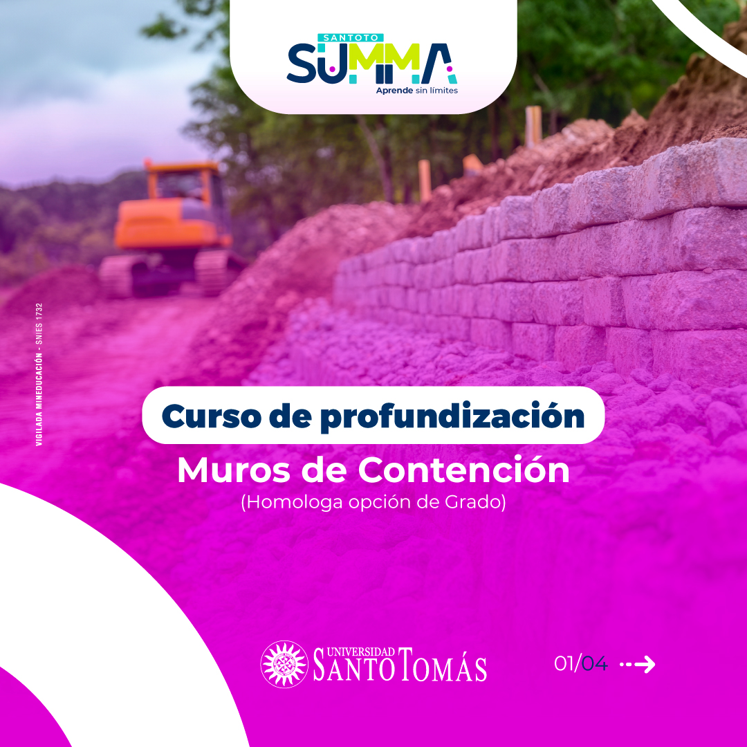 pauta-1-Curso-de-Profundizacion-en-Muros-de-Contencion