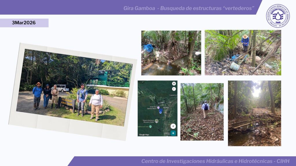Gira Gamboa - colllage