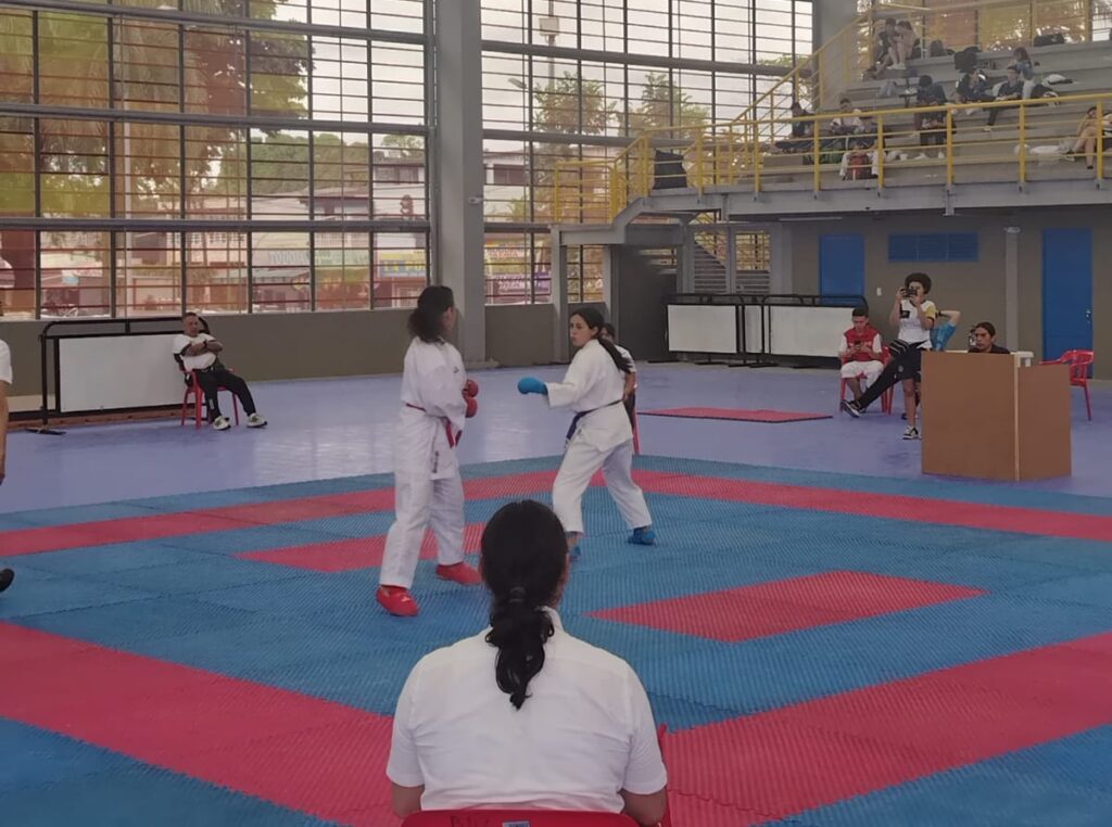 Karate-do-compoetencia